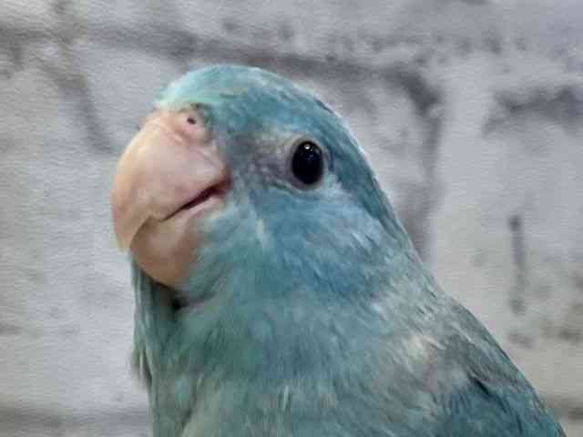 }n