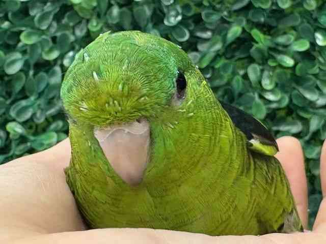 TUi~CR