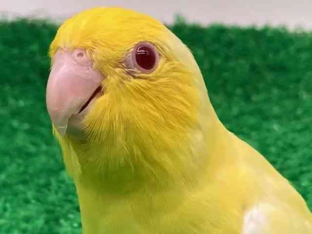 }n