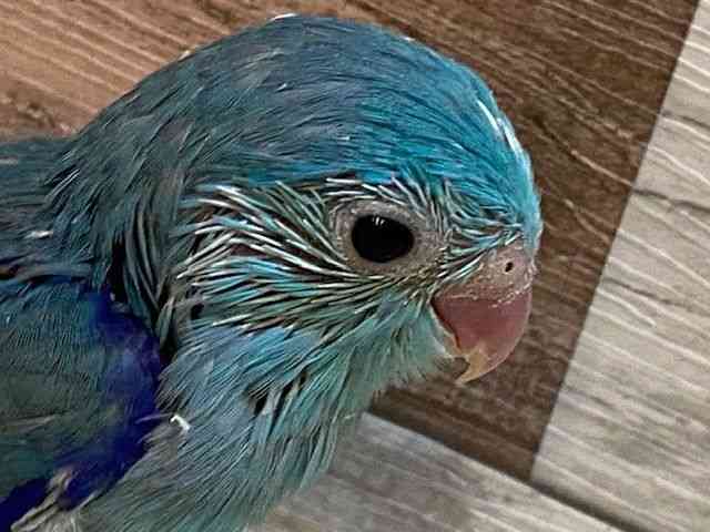}n