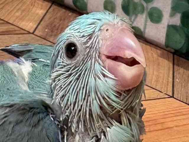 }n