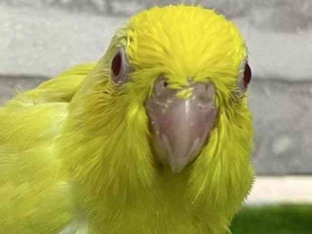 }n
