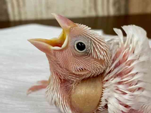 u`E