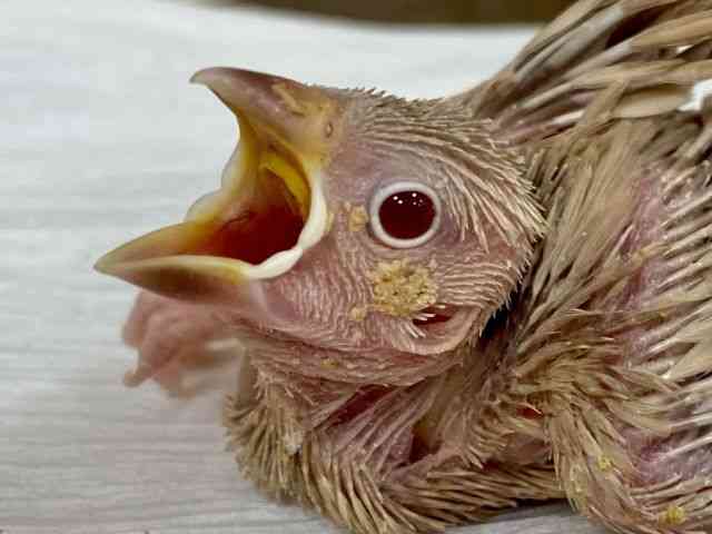 u`E