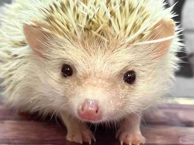 nlY~^sO~[wbWzbO