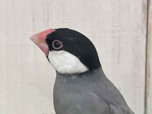 u`E