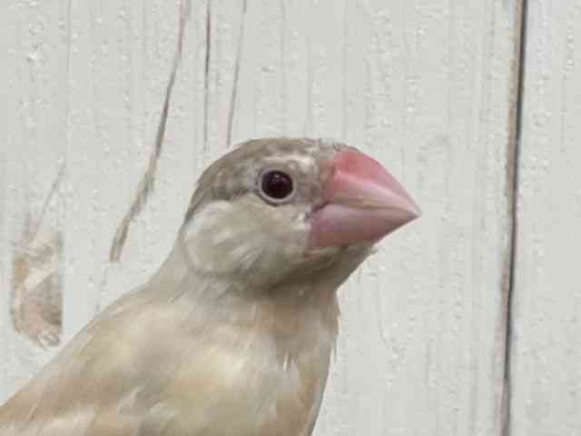 u`E