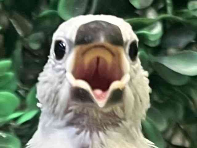 u`E