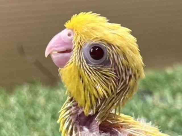 TUi~CR