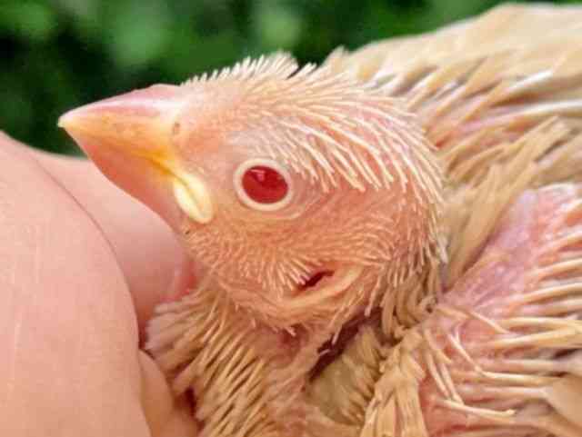 u`E