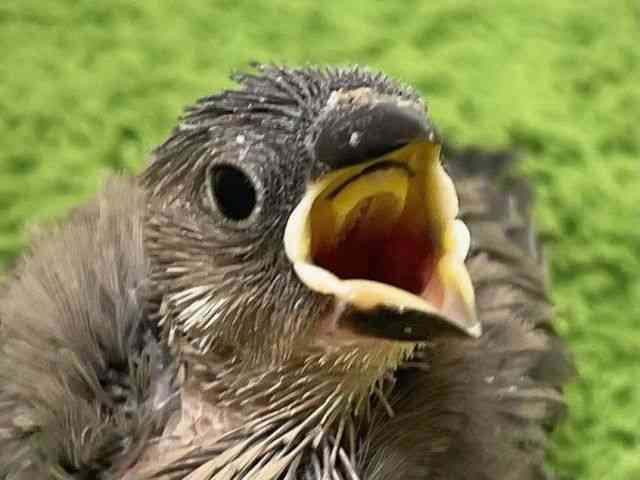 u`E