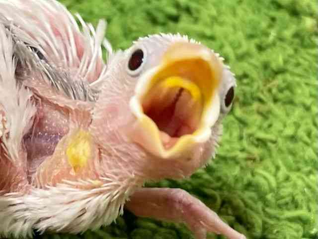 u`E