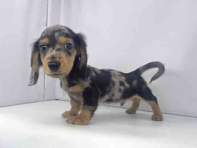 ~j`AE_bNXthEOwA[mVo[_bvn