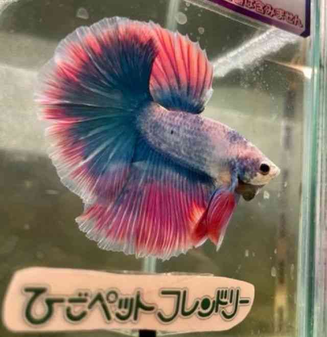 V[x^