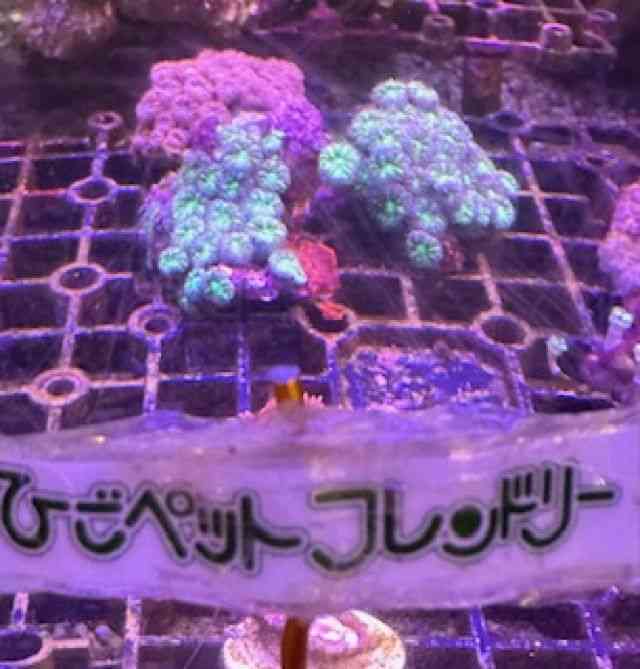 n[hR[