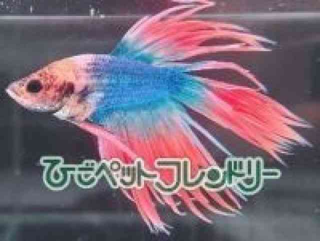 V[x^