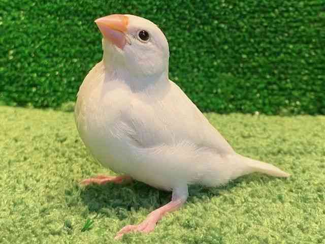 u`E