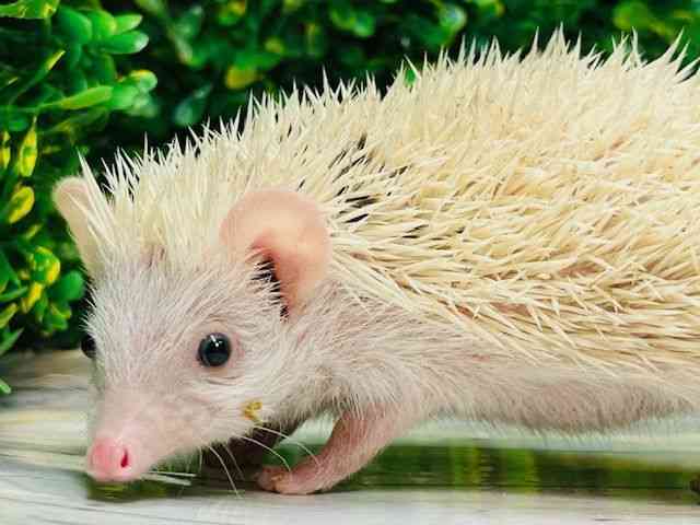 nlY~^sO~[wbWzbO