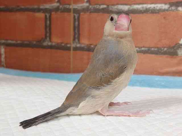 u`E