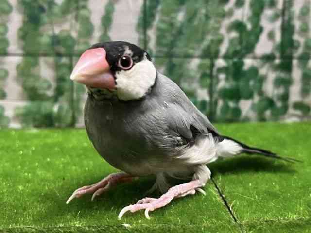 u`E