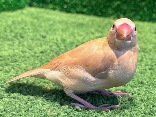 u`E