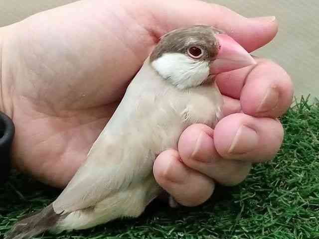 u`E