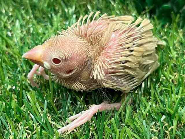 u`E