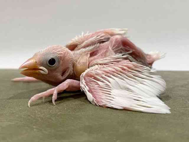 u`E