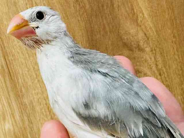 u`E