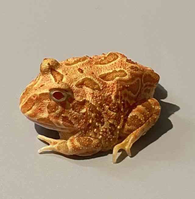 NEFcmKG
