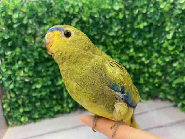 ̑iCREIEnj