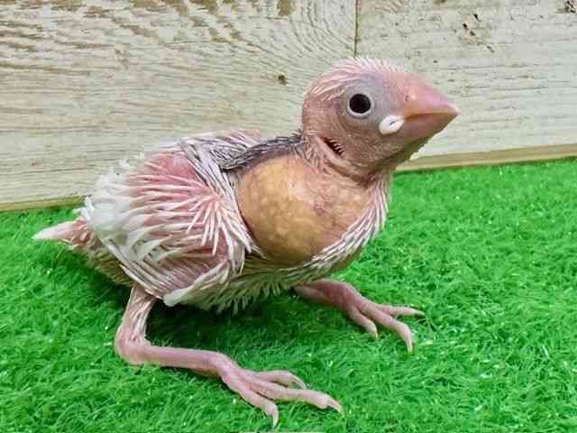u`E