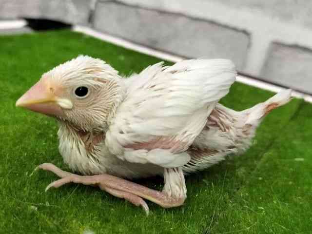 u`E