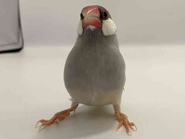 u`E