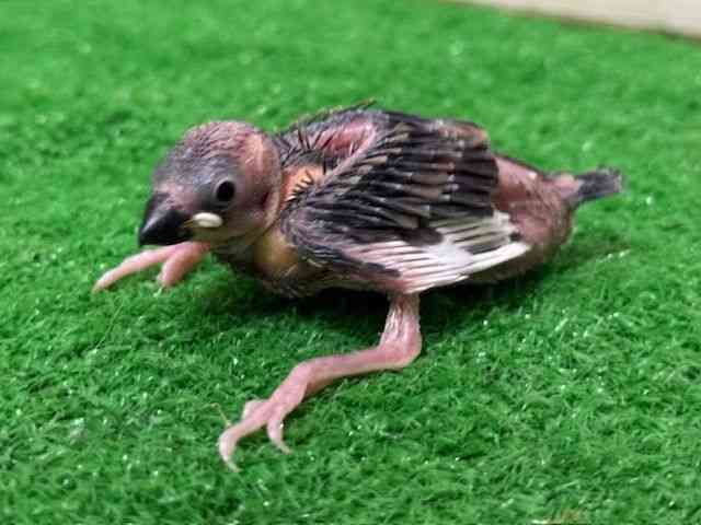u`E
