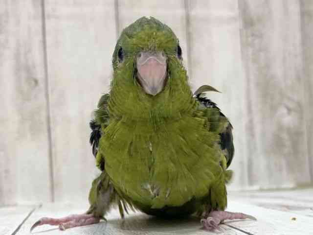 TUi~CR