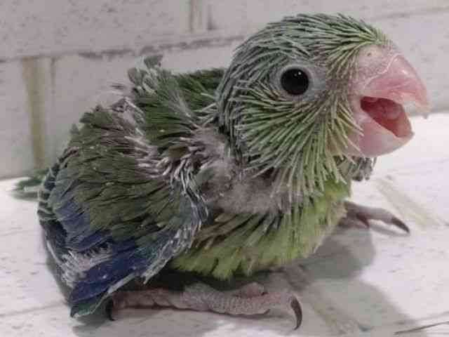}n