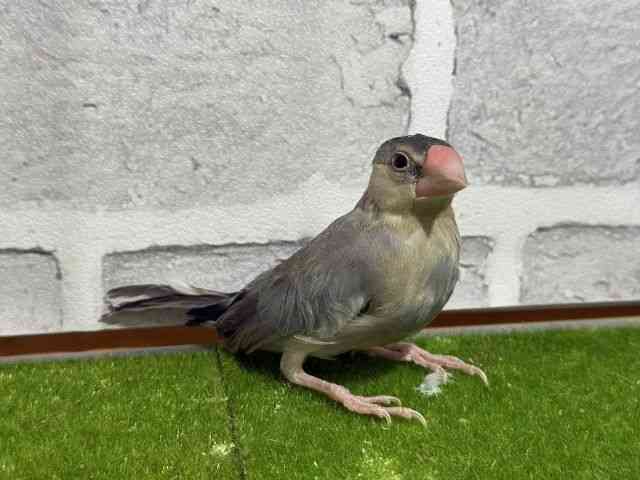 u`E