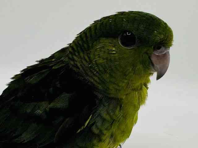 TUi~CR