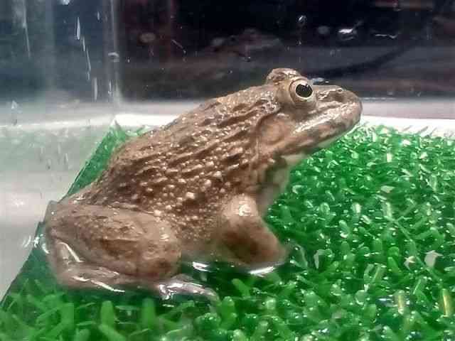 ̑iJGnj