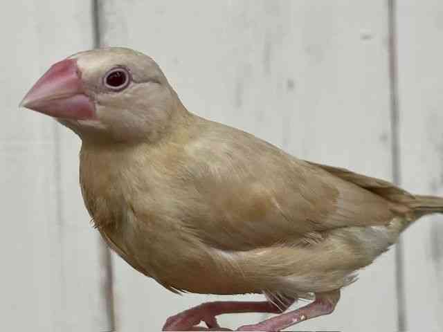 u`E