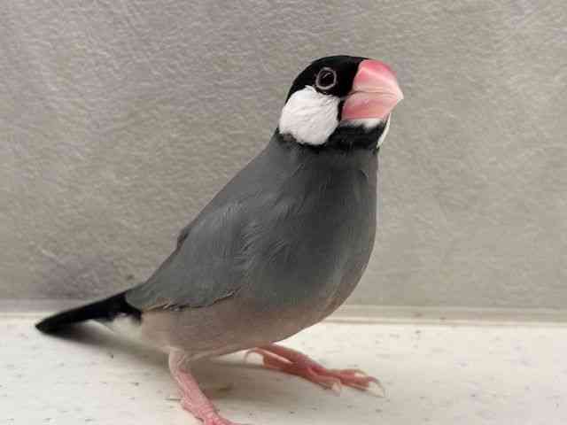 u`E