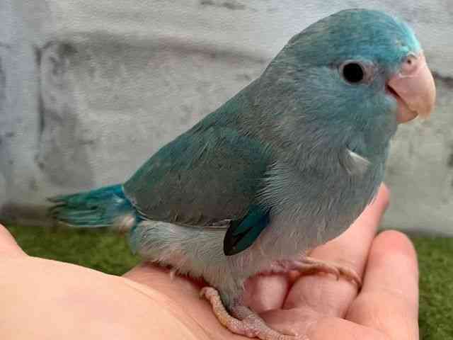}n