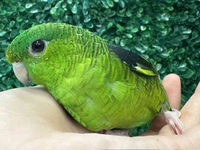 TUi~CR