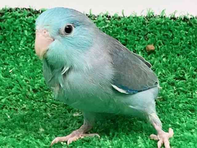 }n