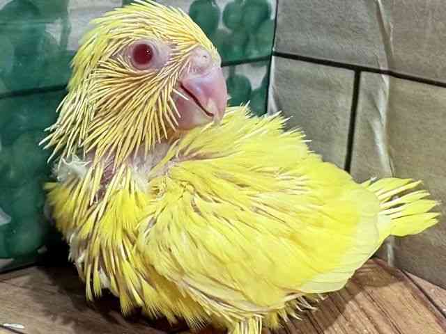 }n