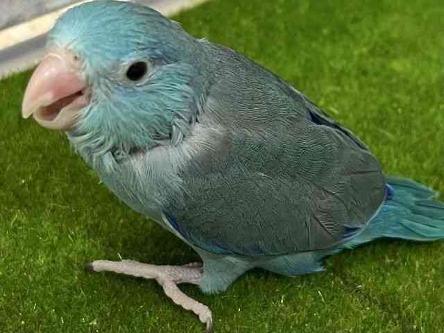 }n