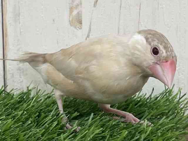 u`E