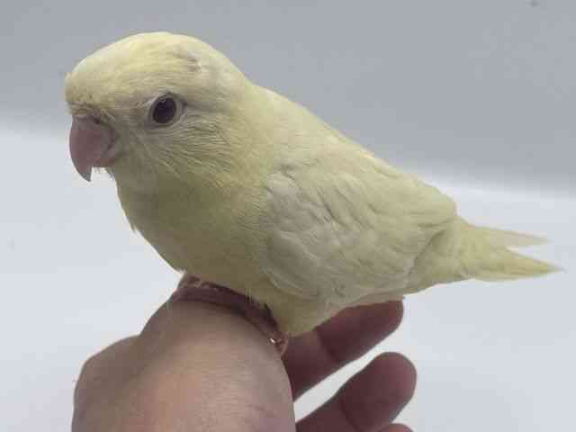 TUi~CR