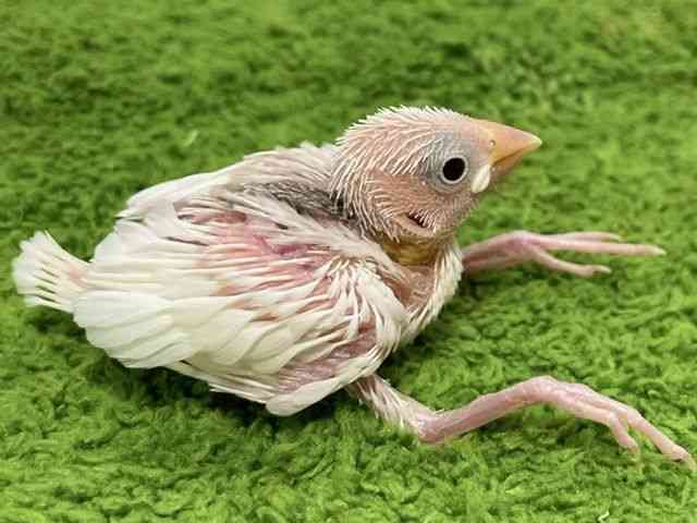 u`E